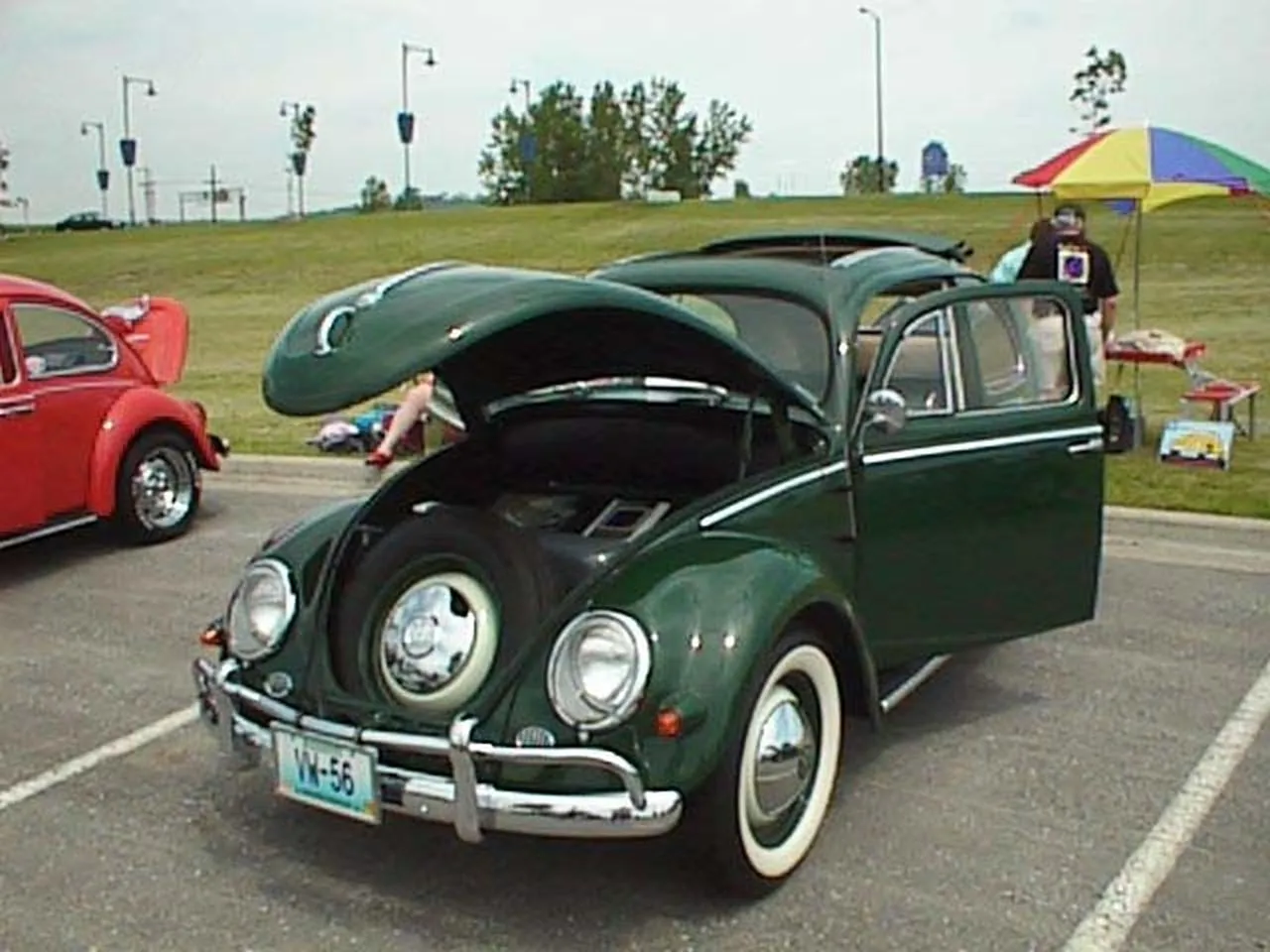 Green Beetle with Whitewalls