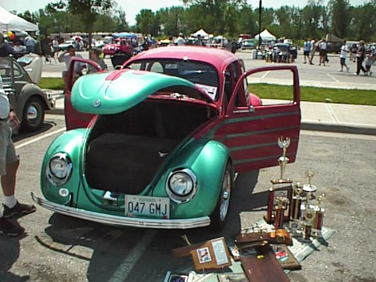 Colorful Split with Trophies