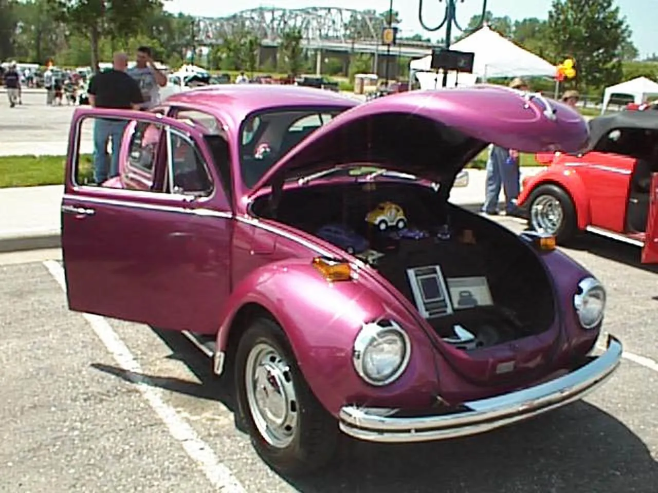 Purple Bug