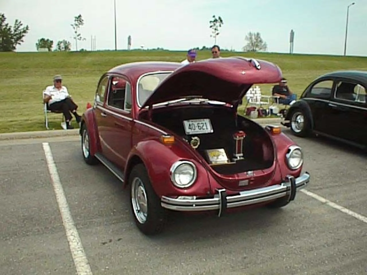 Maroon Super Beetle