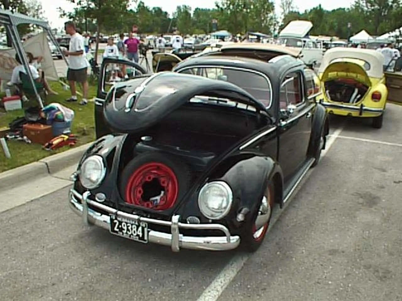Black Beetle with Red Spare