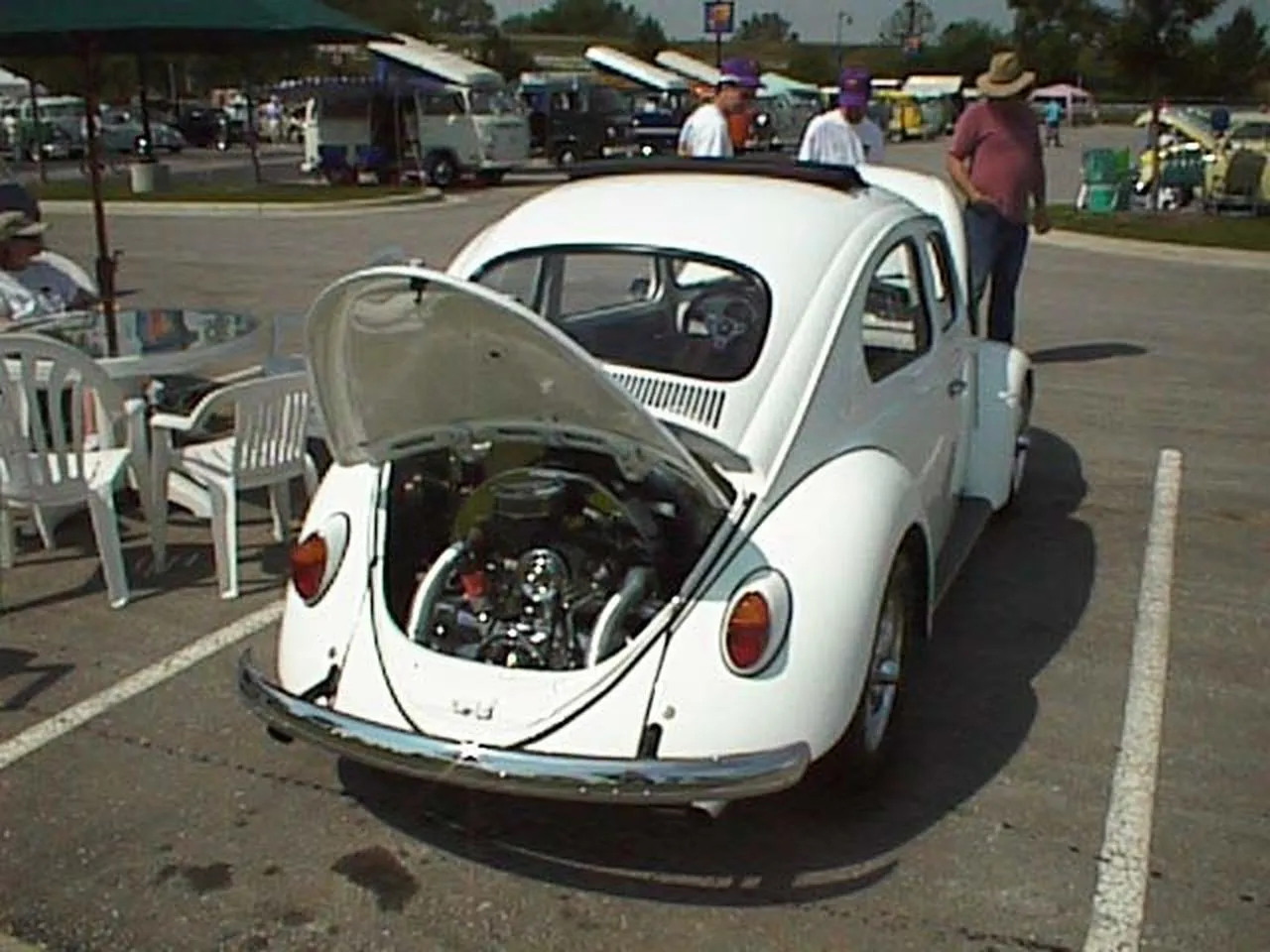 White Beetle (Rear View)