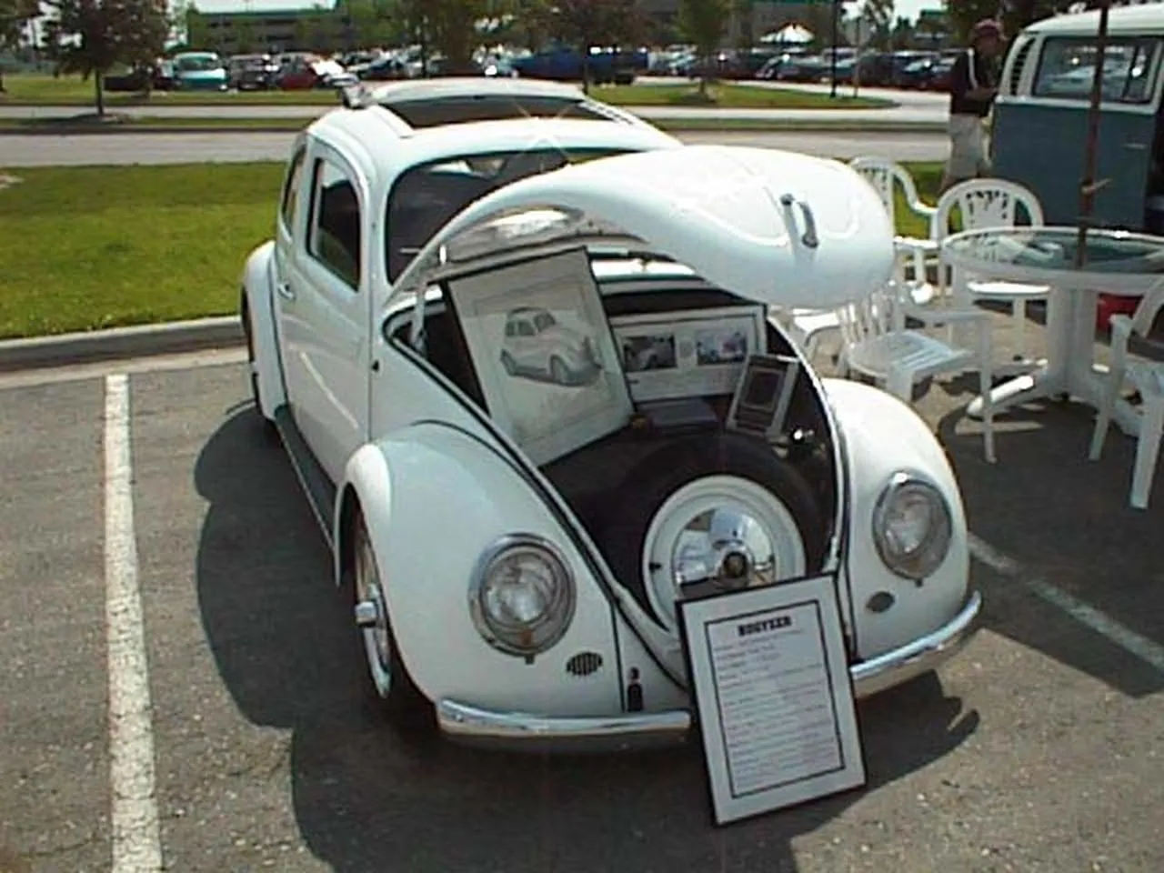 White Custom Display Beetle