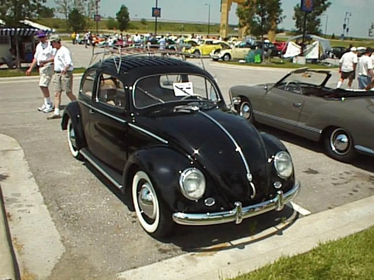 Black Beetle with Roof Rack